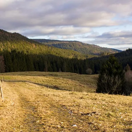 Gemuetliche - Mitten Im Schwarzwald Lejlighed *