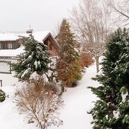 Gemuetliche Ferienwohnung - Mitten Im Schwarzwald *