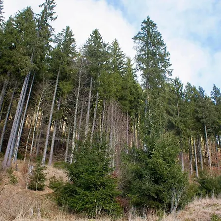 Gemuetliche - Mitten Im Schwarzwald Lejlighed Bernau im Schwarzwald