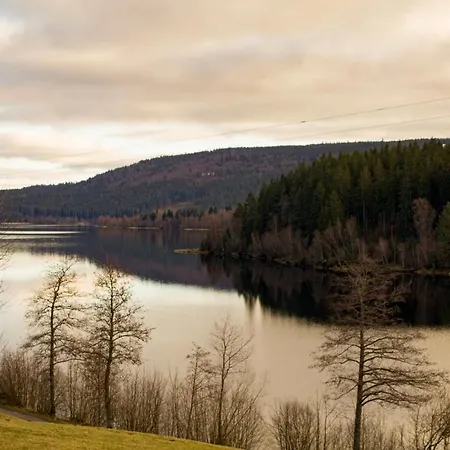 Gemuetliche Ferienwohnung - Mitten Im Schwarzwald Bernau im Schwarzwald