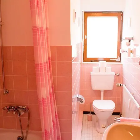 Gemuetliche - Mitten Im Schwarzwald